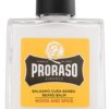 Proraso Wood and Spice balsam do brody 100 ml